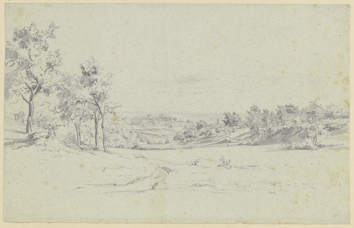 Wiesenlandschaft mit Bäumen