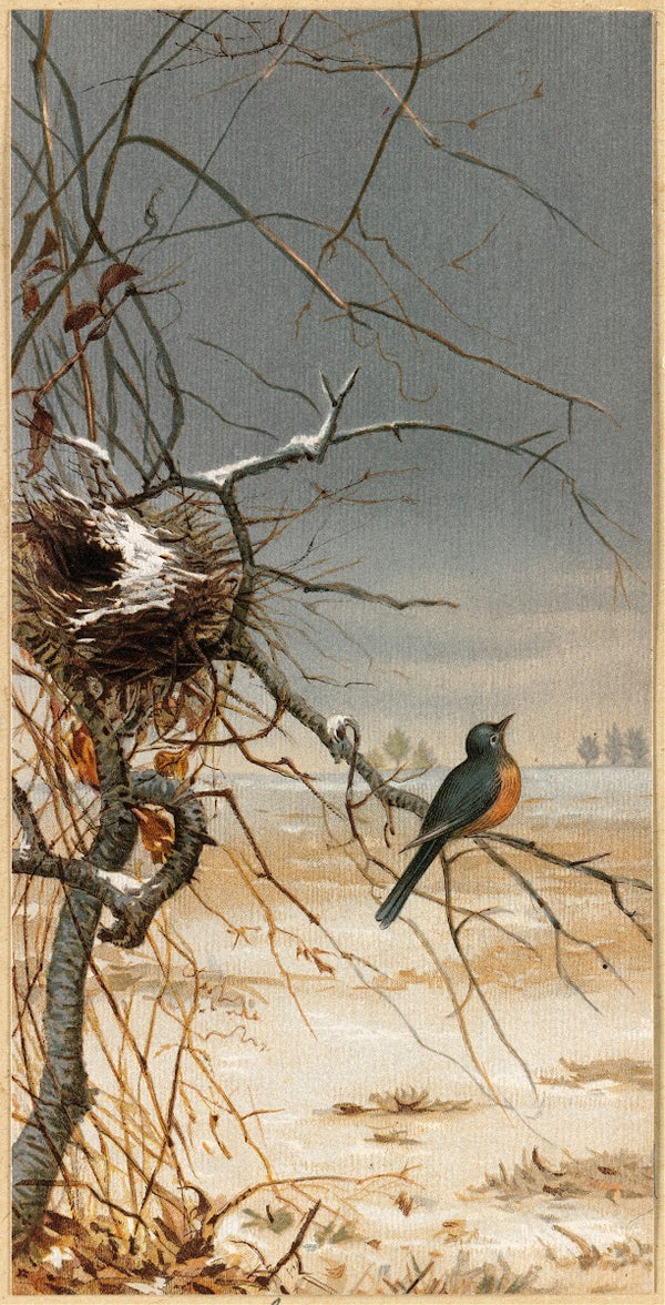 Out in the Cold December 1877
