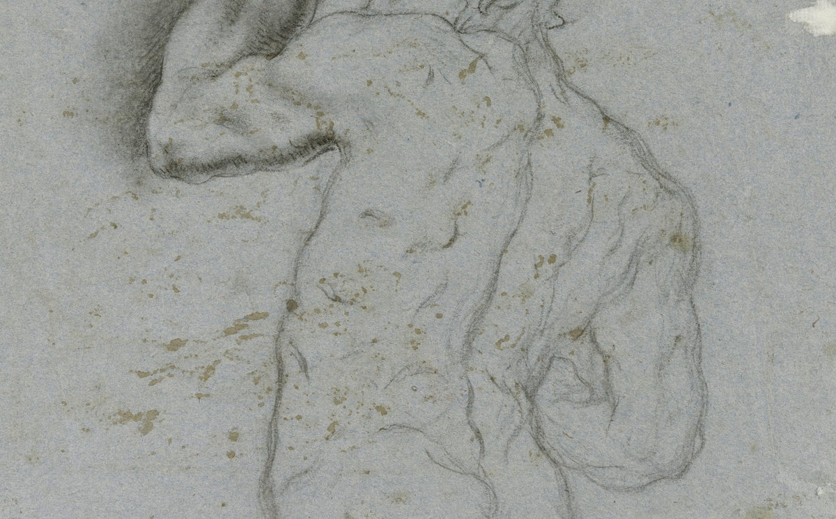 Male nude from behind