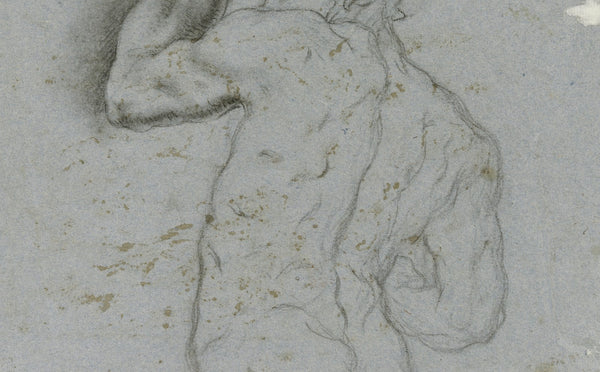 Male nude from behind
