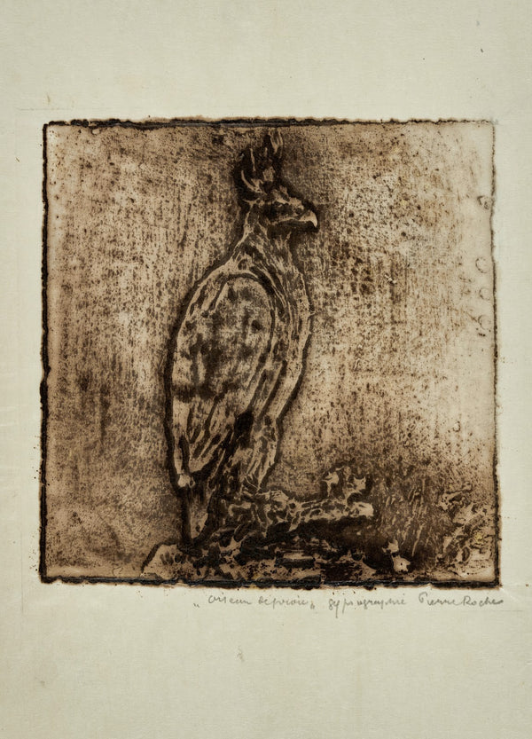 Oiseau de proie Harpie 1913