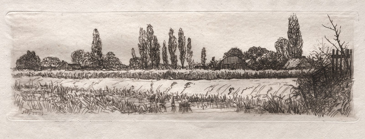 Cornfield 1879