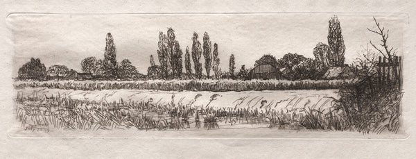 Cornfield 1879