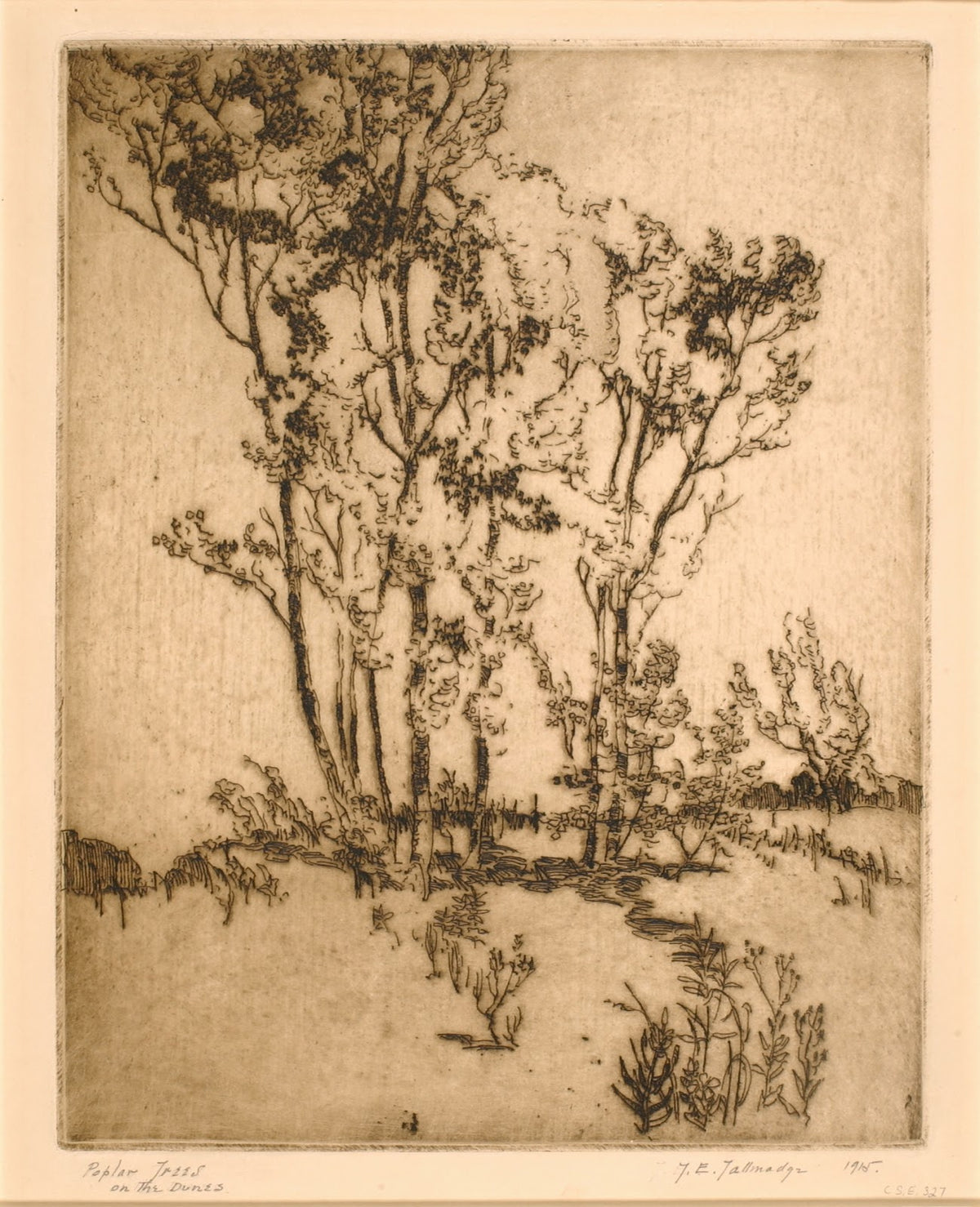Poplar Trees 1915