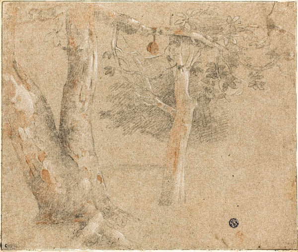 Sketches of Trees