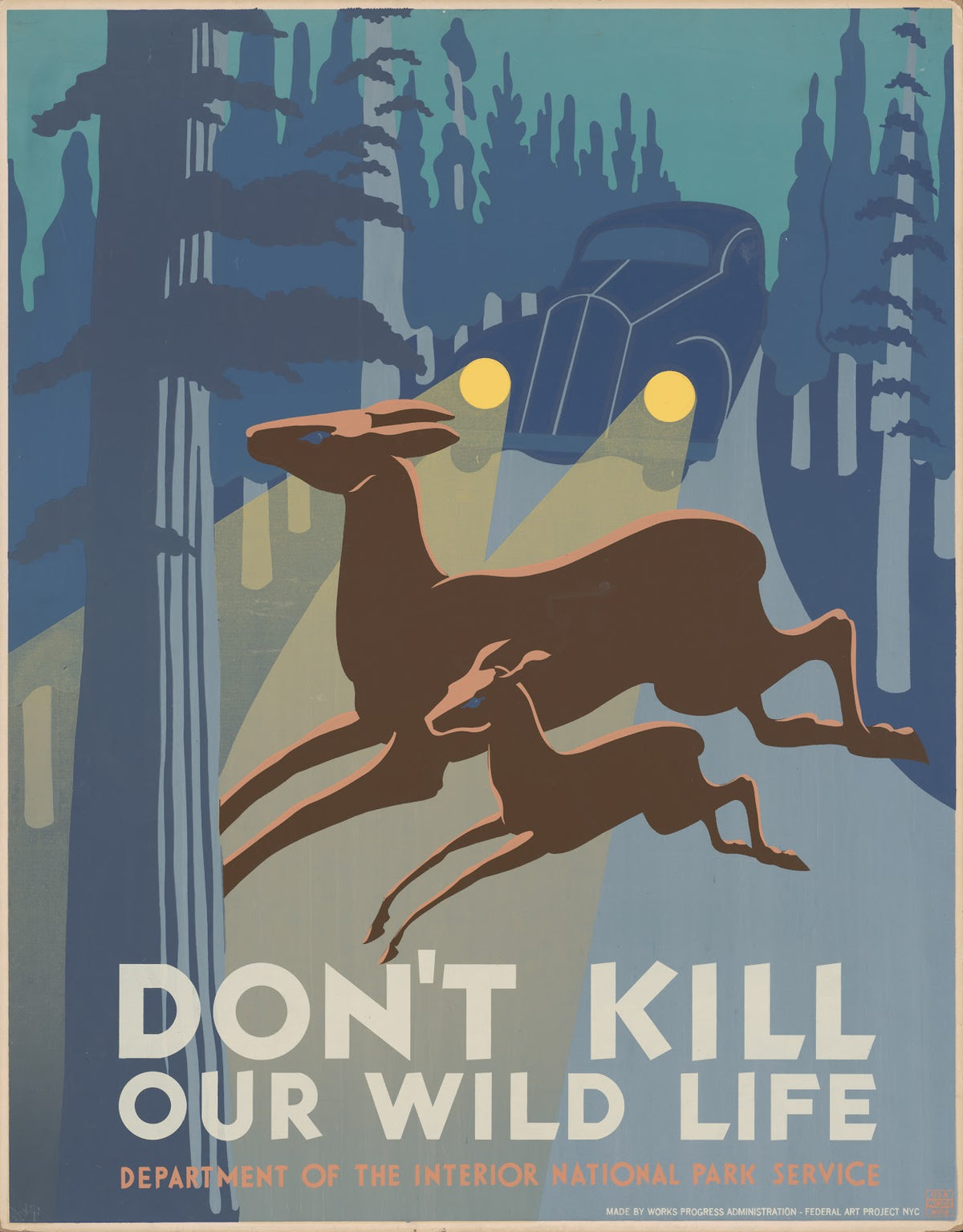 Dont kill our wild life 1936 1940