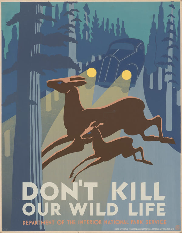 Dont kill our wild life 1936 1940