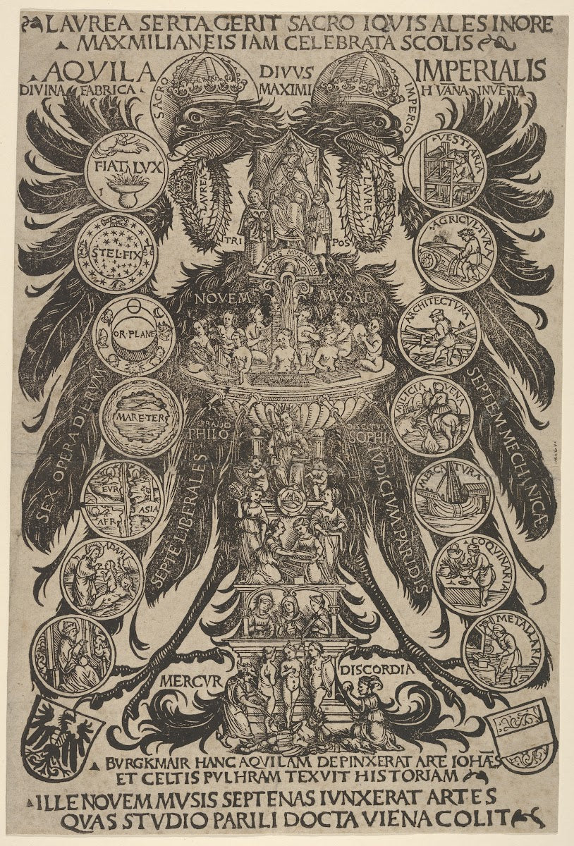 The Imperial Eagle Aquila Imperialis 1507