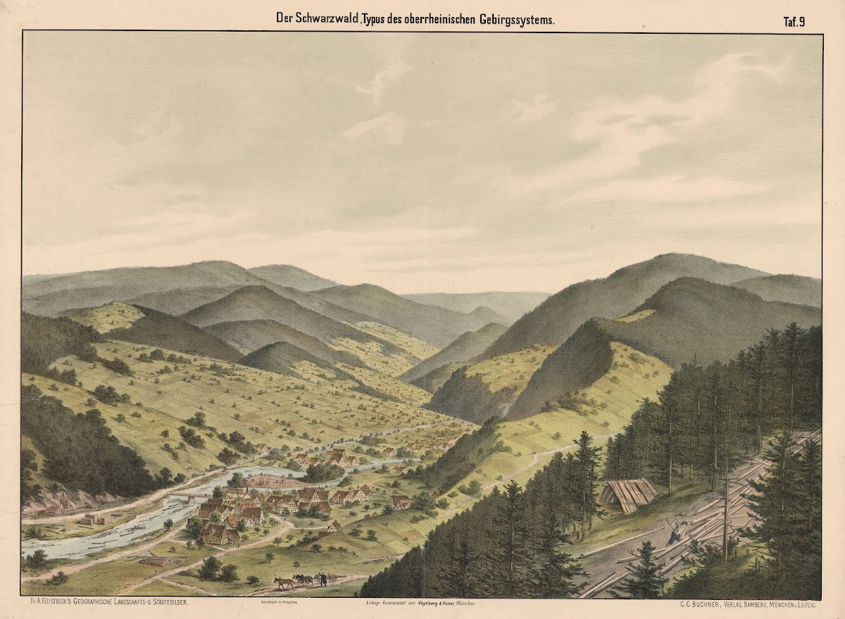 Der Schwarzwald Typus des ober rheinischen Gebirgssystems 1890