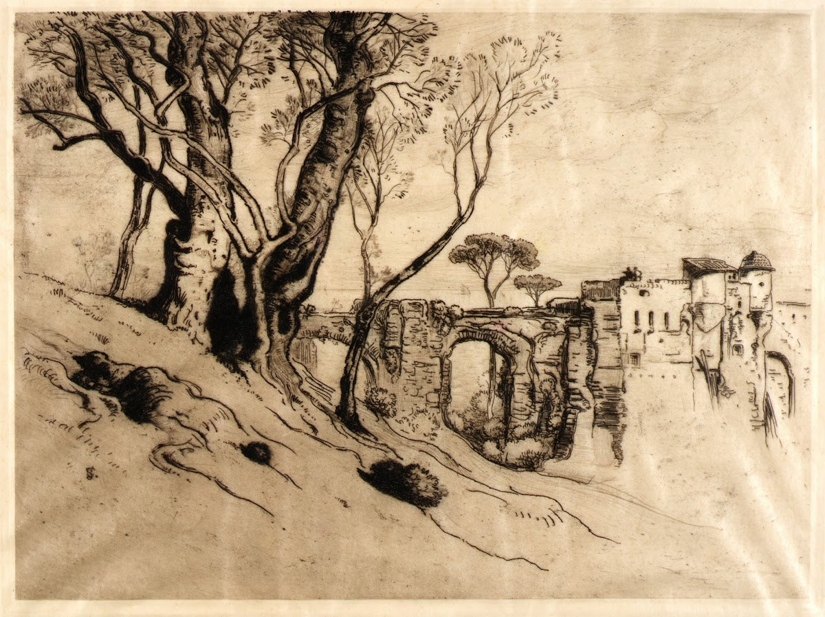 The Olive Trees of the Riviera 1884