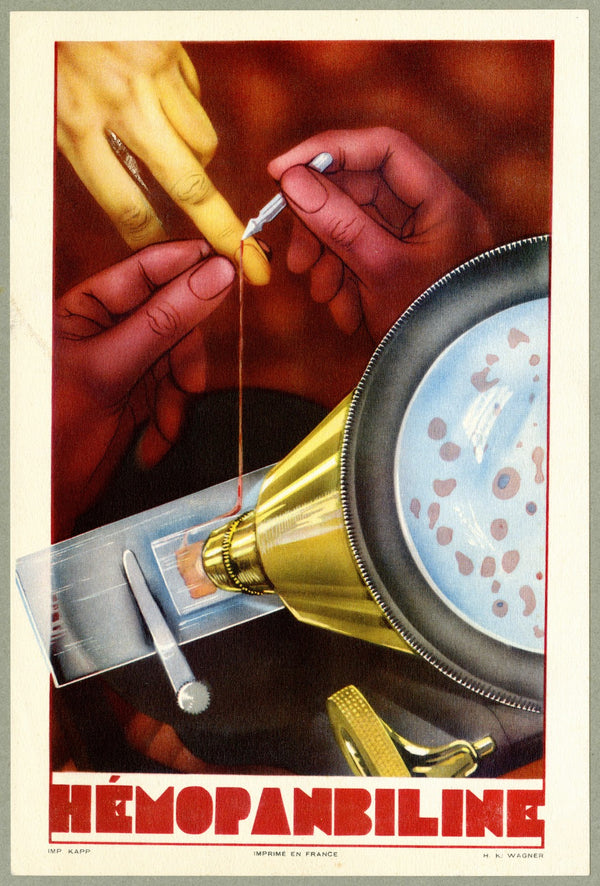 Hémopanbiline 1910 1950