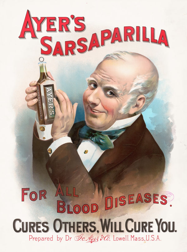 Ayers sarsaparilla for all blood diseases cures others will cure you 1891