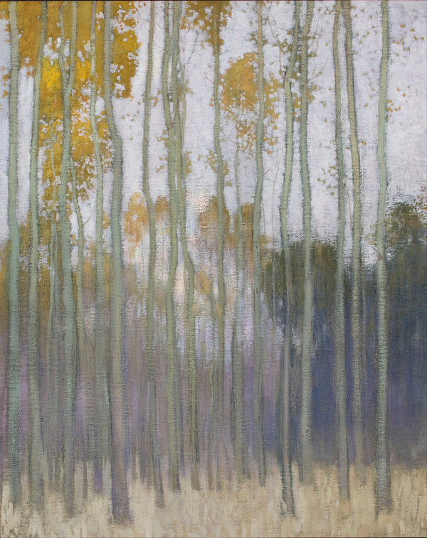 Forest Morning Sun 1904