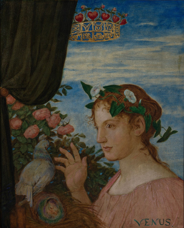 Venus Freya 1906