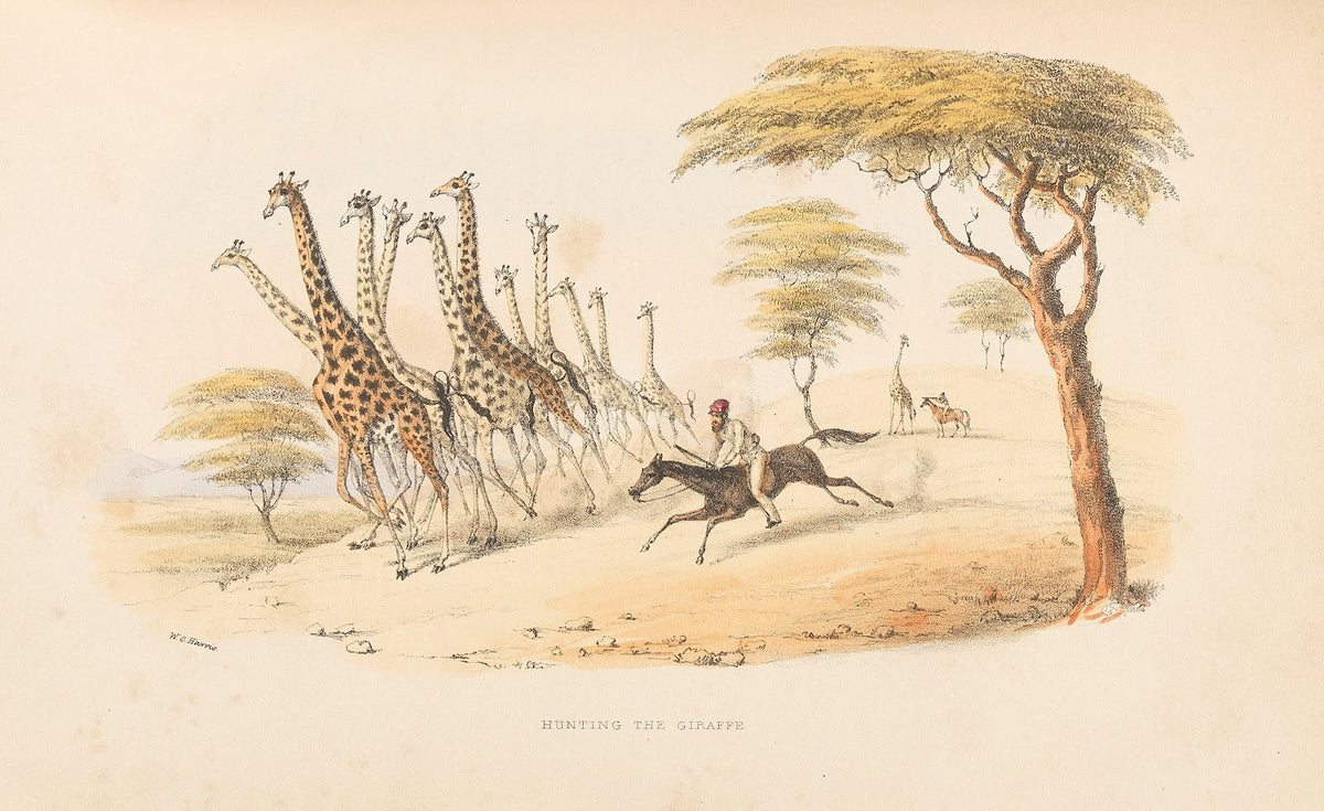 The wild sports of Southern Africa 1844