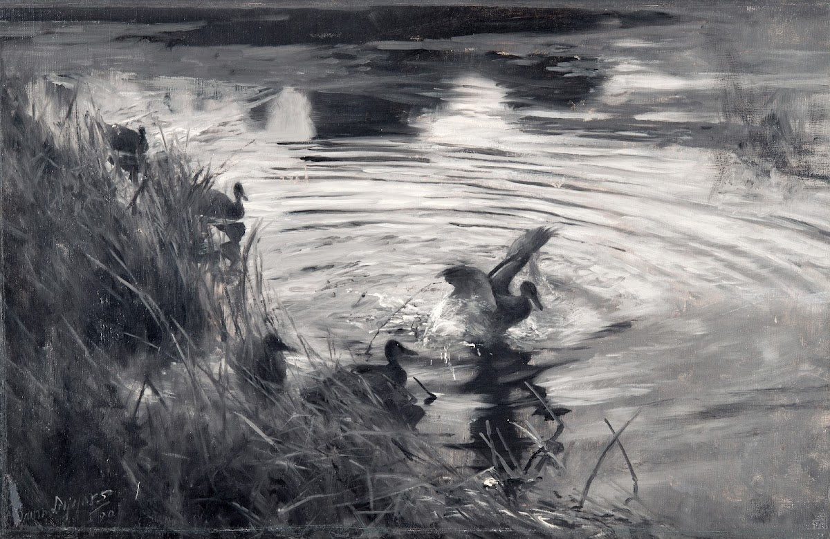 Wild Ducks among Reeds 1890