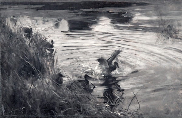 Wild Ducks among Reeds 1890