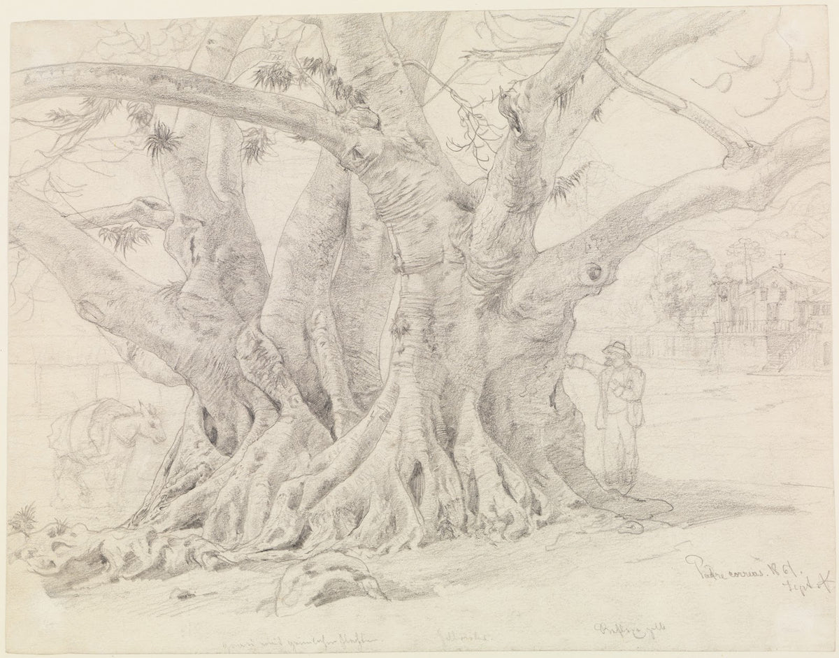 Baumstudie 1861