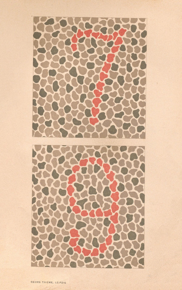 Stillings pseudo isochromatic plates for testing color perception Pl06 1929