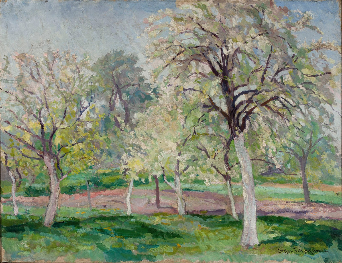 Blossoming orchard