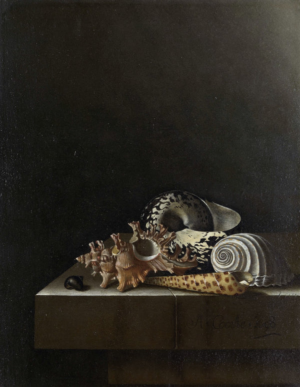 Shells on a Stone Plinth 1698 4710x6056 (1)