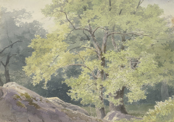 In the forest near Falkenstein 1877