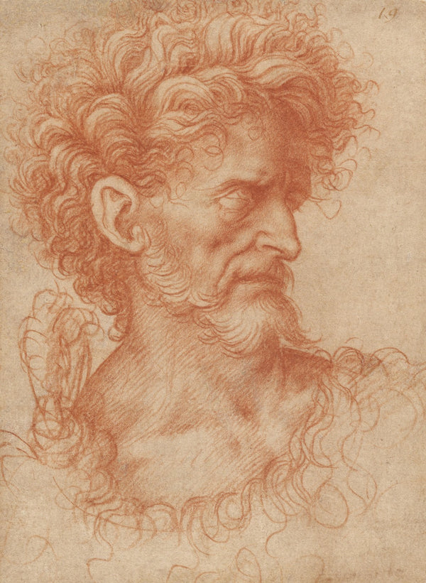 Saint John the Baptist 1500