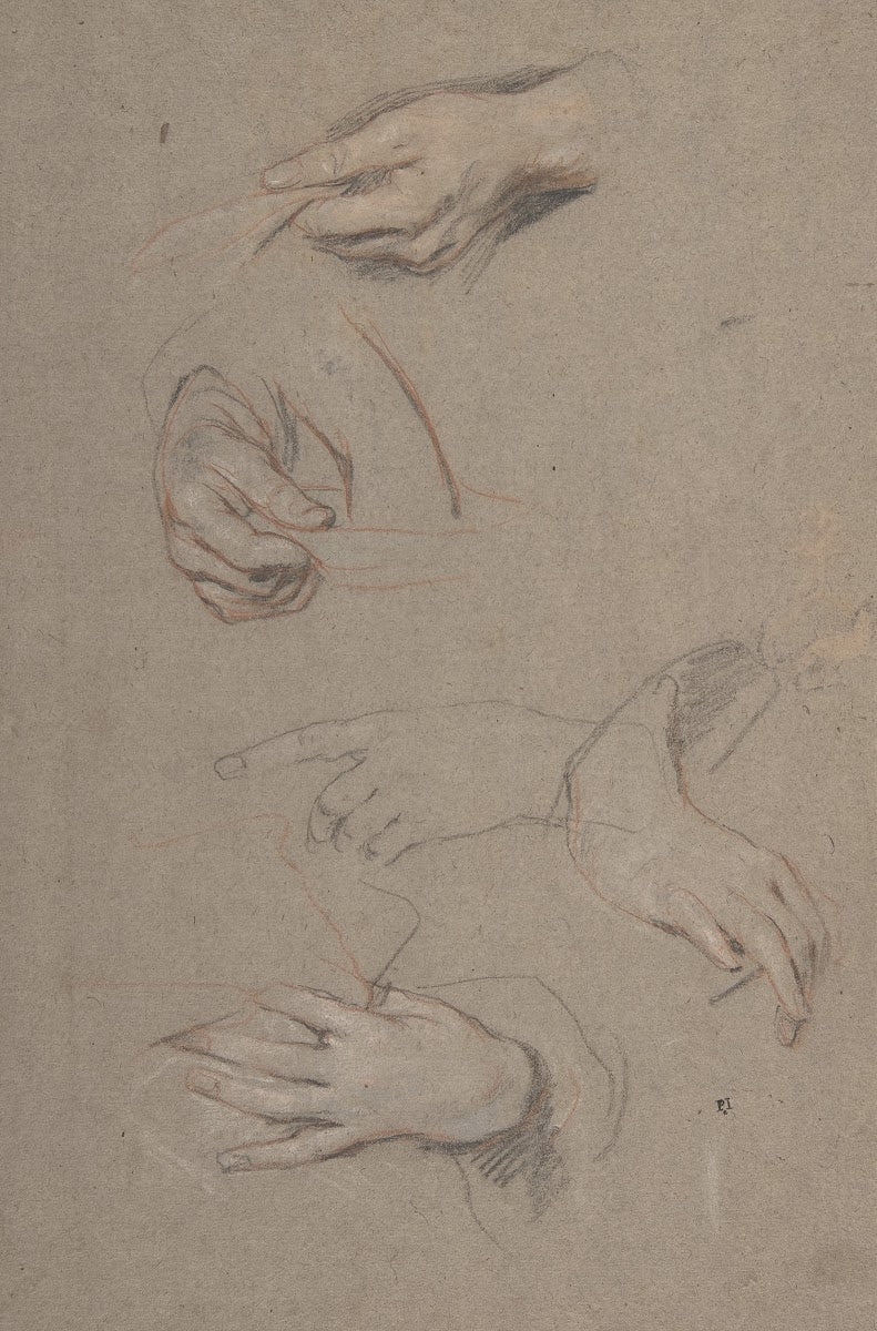 Studies of Hands 163080