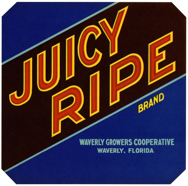 Juicy Ripe Brand Citrus Label 1940s