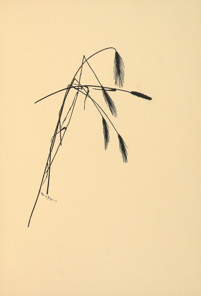 Goldene Ernte Pl09 1930
