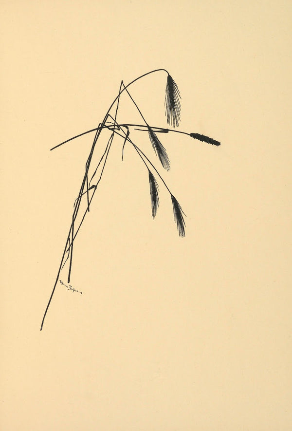 Goldene Ernte Pl09 1930