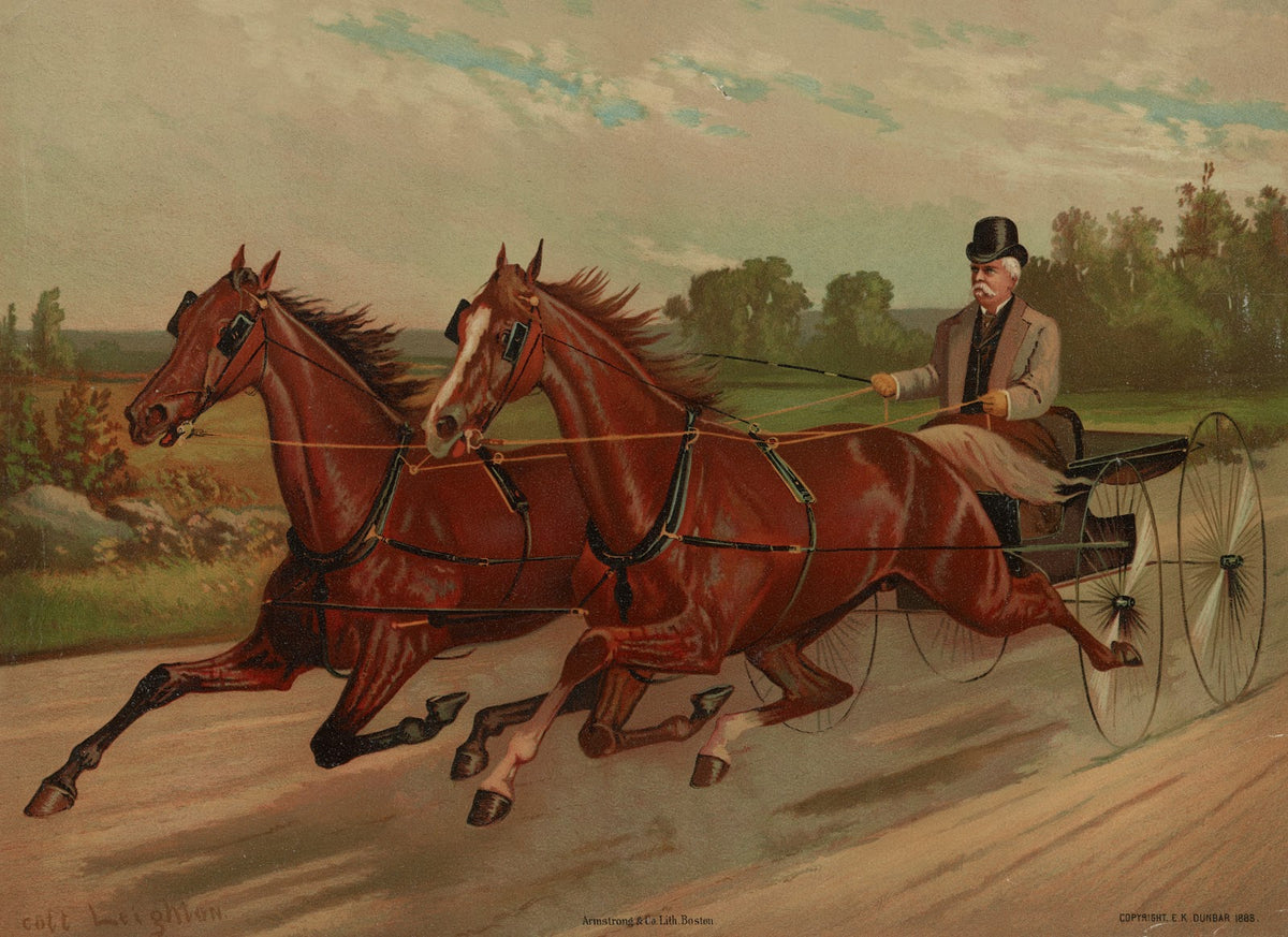 Gentleman in carriage facing left 1883