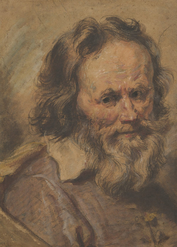 Head of a Bearded Man 16001630