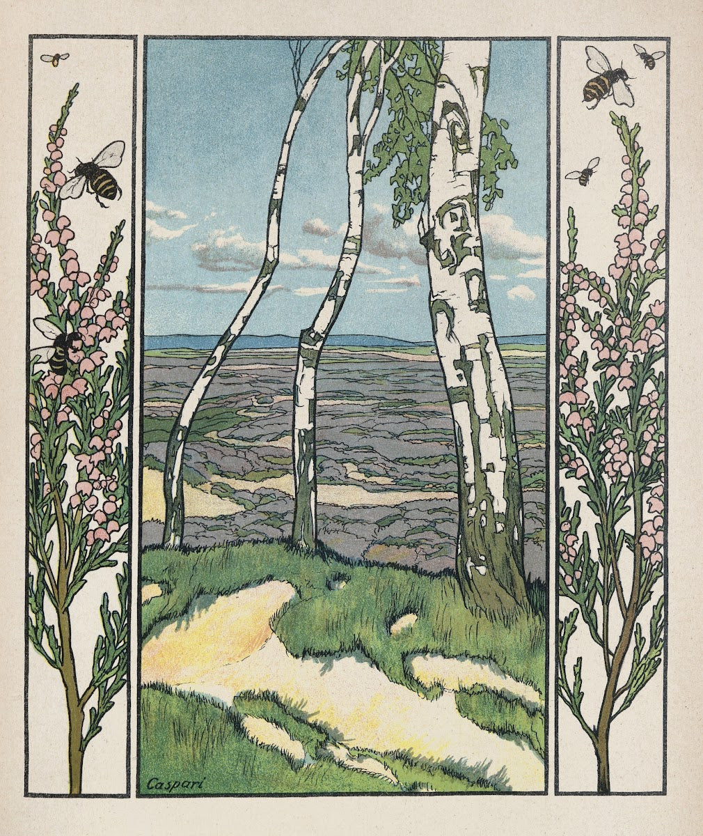 Aus Wald und Heide Pl12 1909