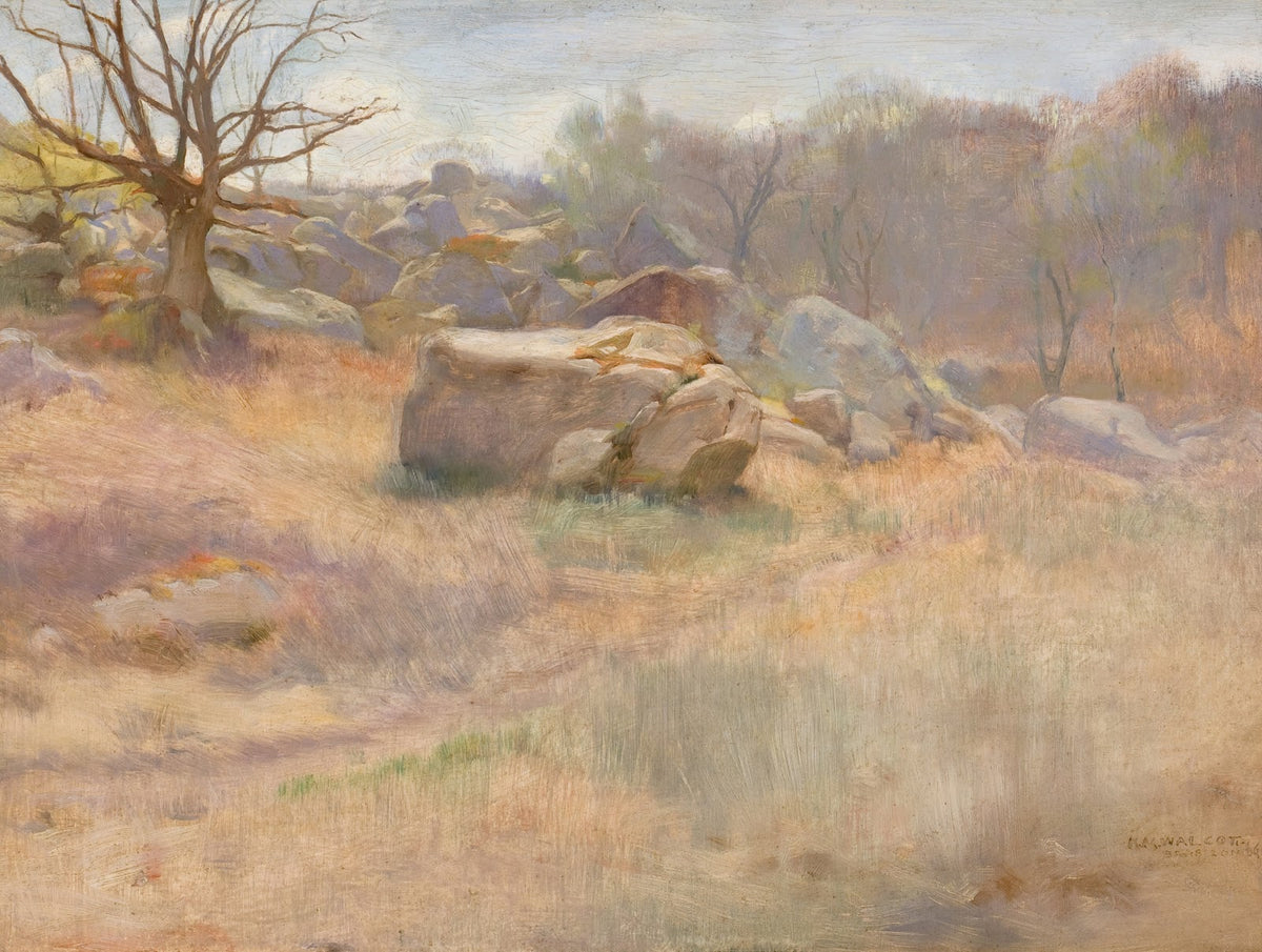 Landscape with Rock 1889