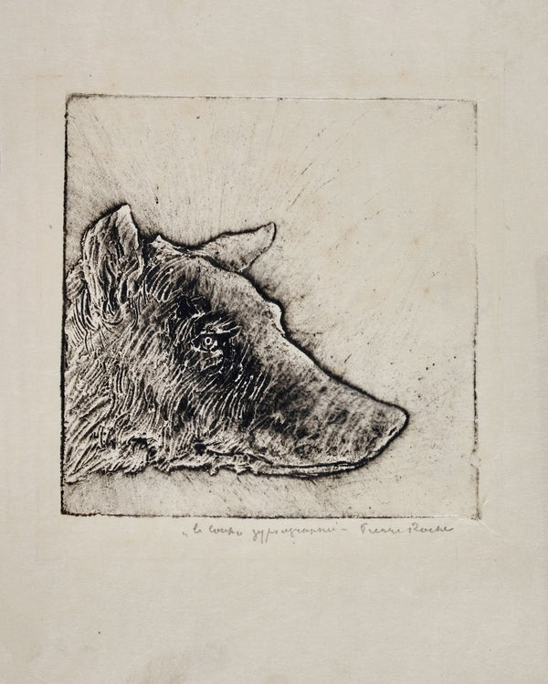 Loup 1897