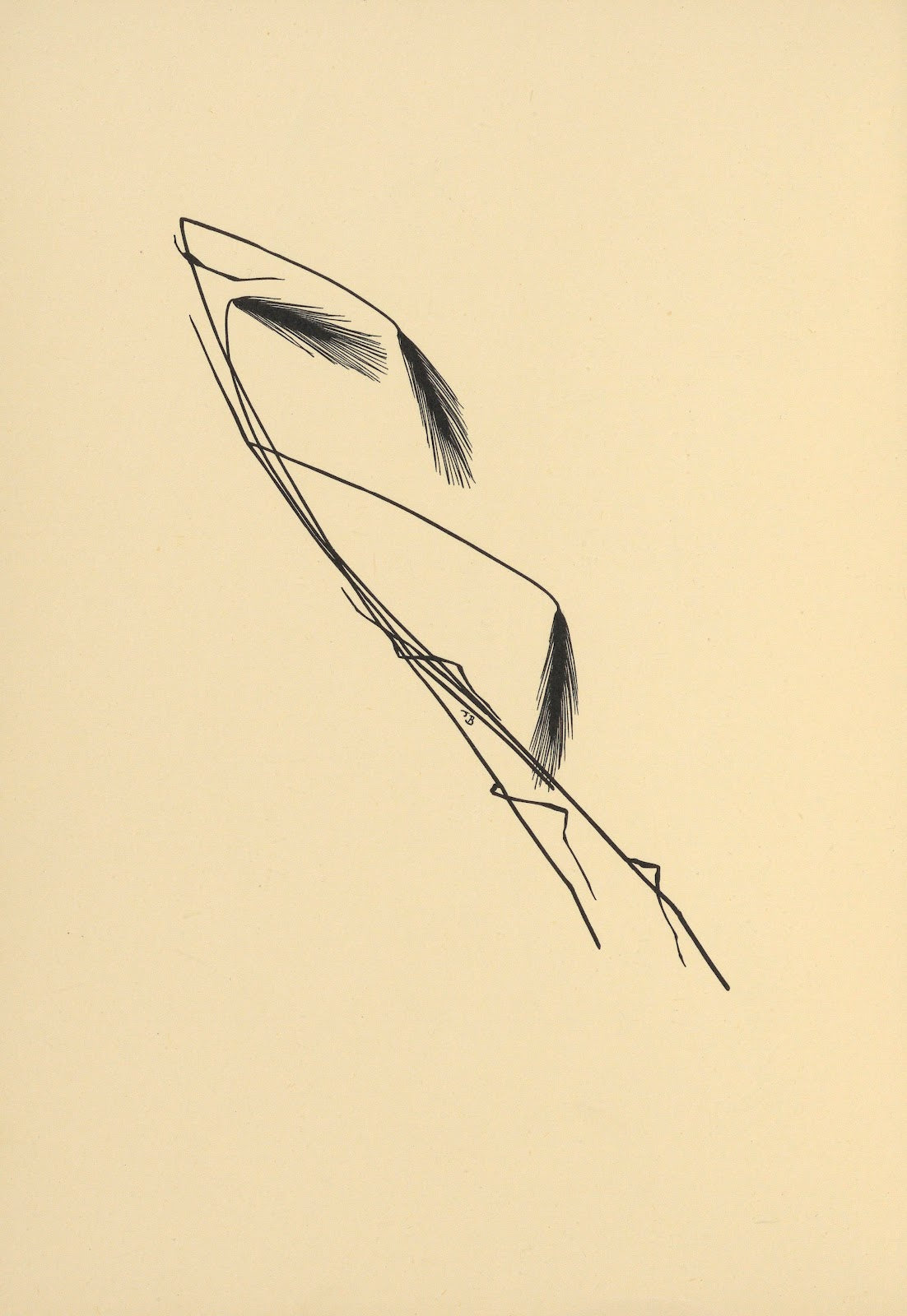 Goldene Ernte Pl05 1930