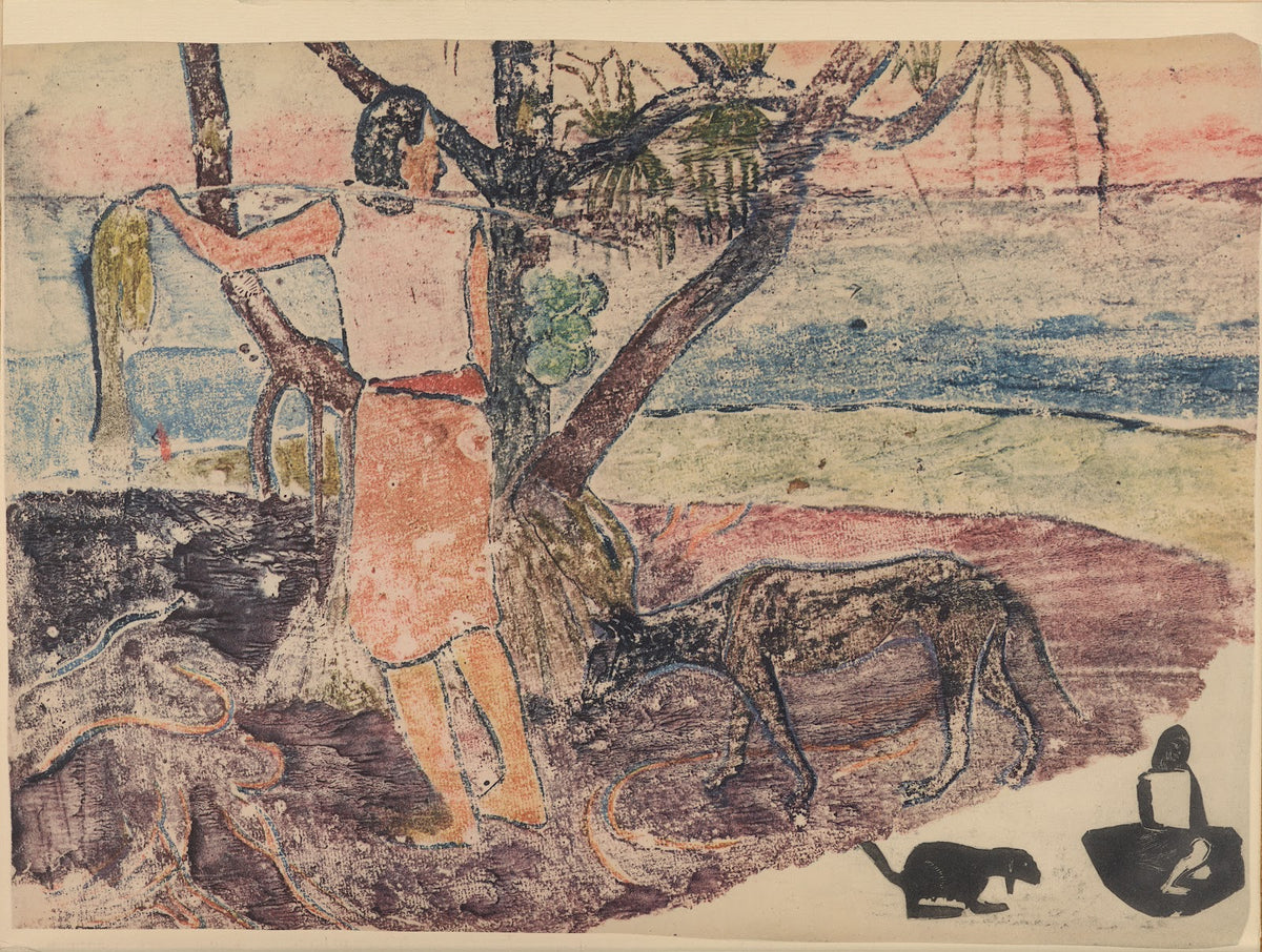 Noanoa Pl02