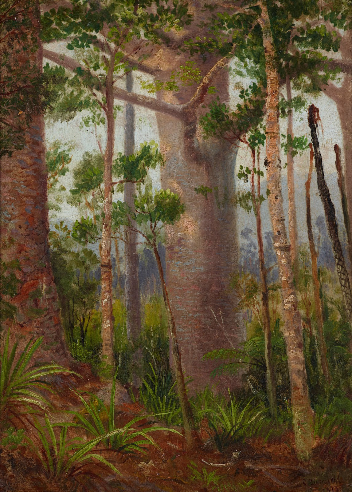 Bush scene 1919