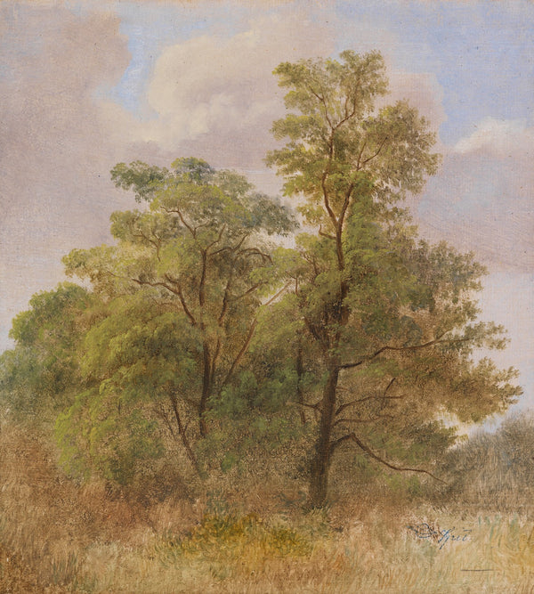 Baumstudie Ca 1831 1835