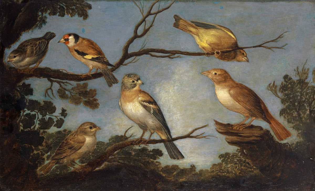 Birds on the Branches of a Tree