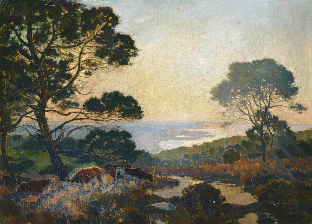 Cattle grazing above a bay at dusk