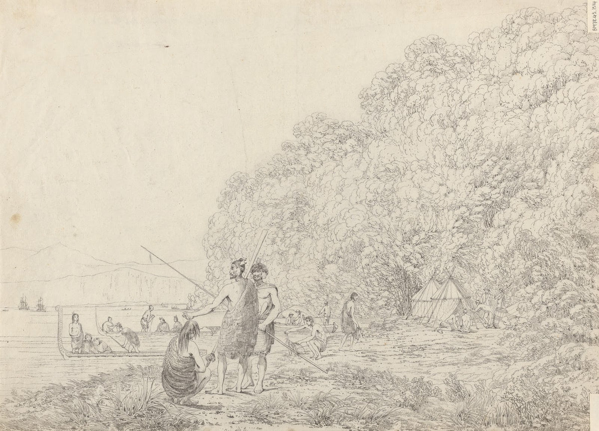 Queen Charlottes Sound New Zealand 1790