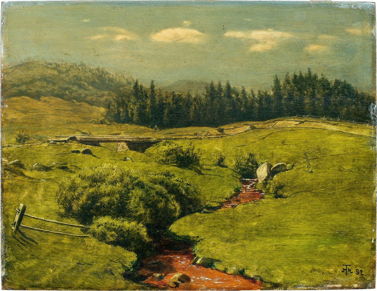 Der braune Bach 1882