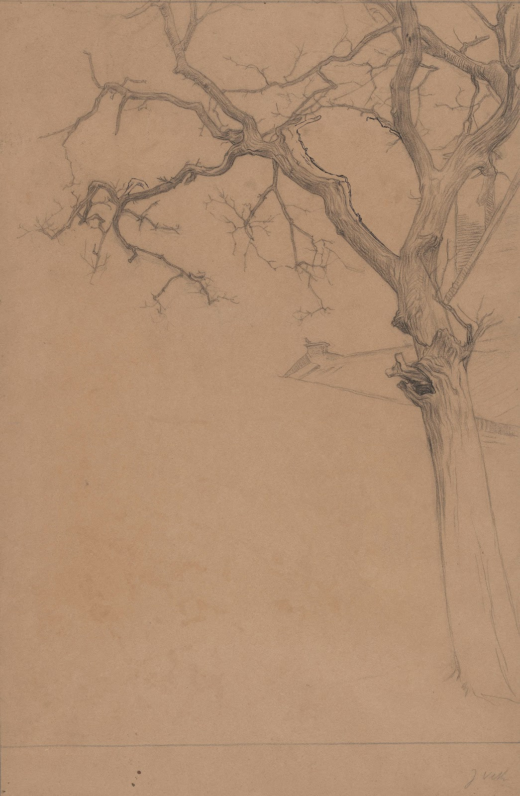 Studie van een kale boom 1874   1925