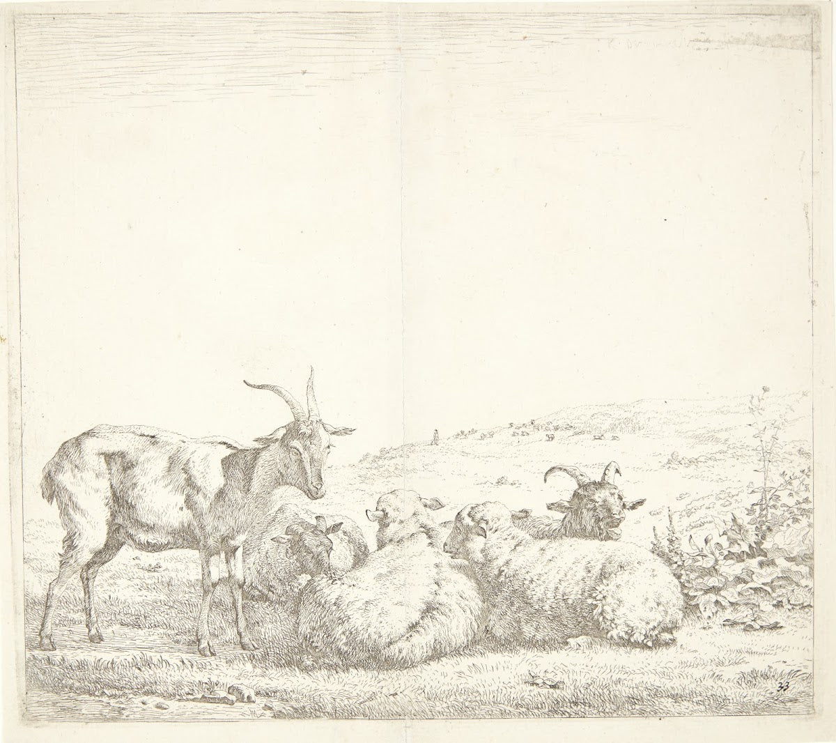 Tre geder og to får 1655