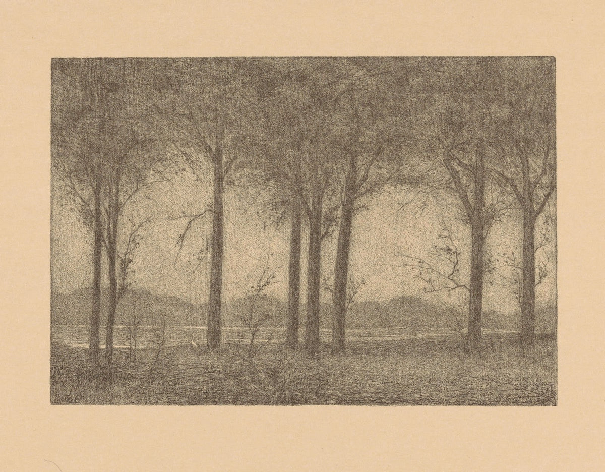 Bomen aan het water 1906