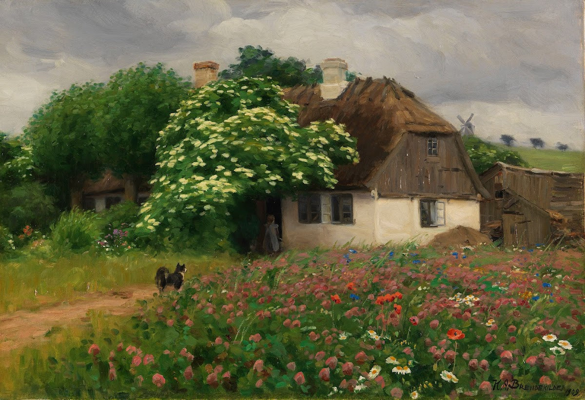 Farmhouse with meadow flowers 1909