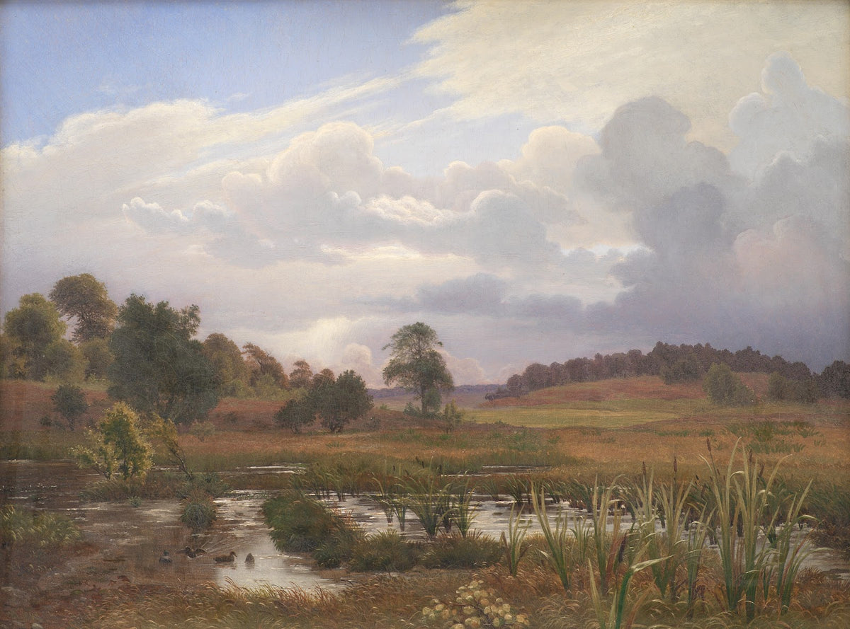 Landscape near the Forest Nordskoven Jægerspris Zealand 1848