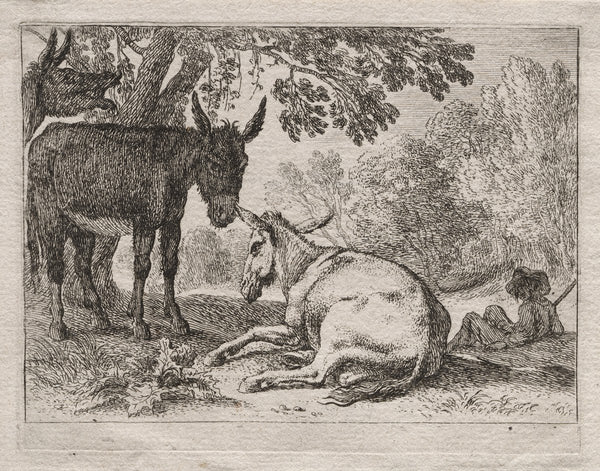 Donkeys 162055